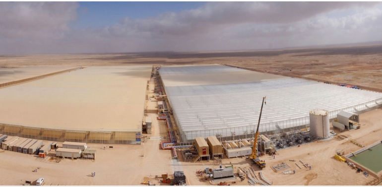 Petroleum Development Oman and GlassPoint Announce Commencement of Steam Delivery from Miraah Solar Plant  