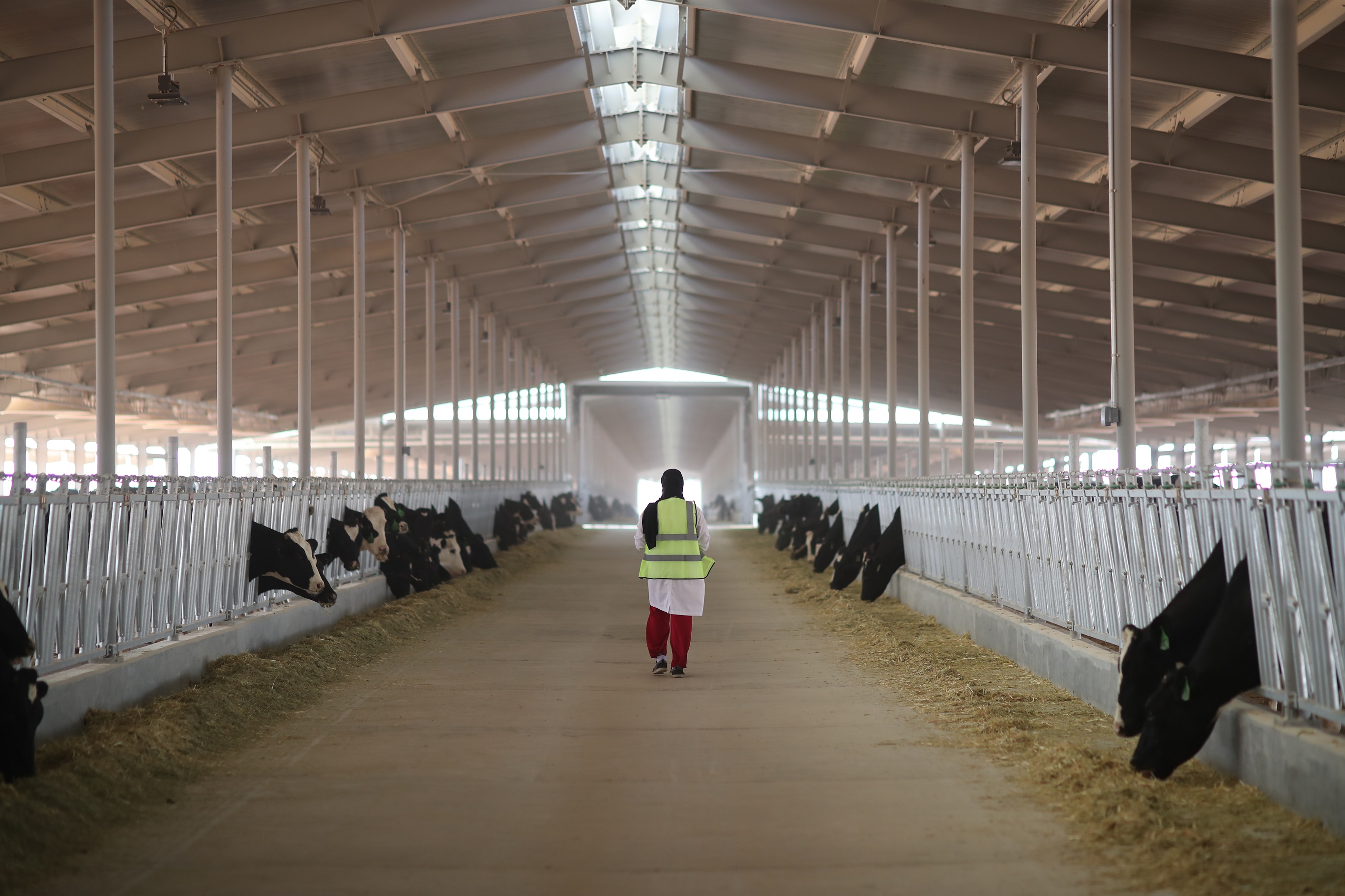 Mazoon Dairy marks milestone in economic development of Oman | OERLive