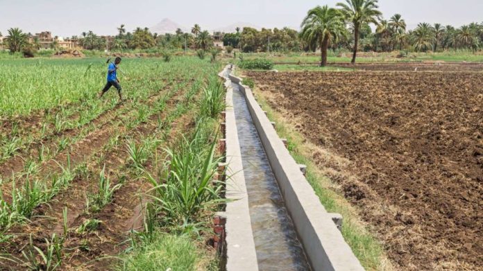 Agricultural Adapation to Climate Change Upper Egypt