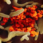 Coronavirus Spurs Spike in Serious Blood Disorder in Children