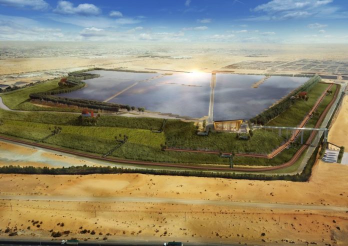 Garbage Dump to Morph Into Solar Farm in UAE Arabian Desert