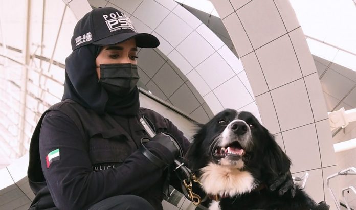 K9 police dogs detect COVID-19