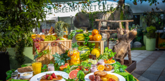 Fancy a Family Picnic Brunch With the Sloths at the Green Planet Dubai?
